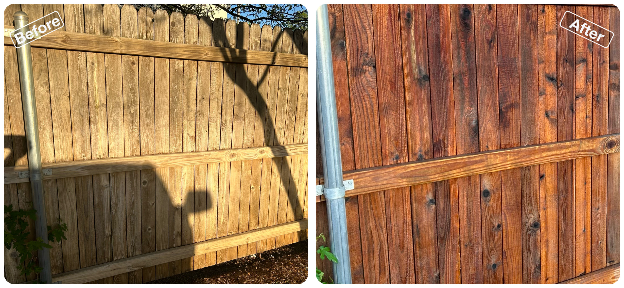 Fence Cleaning in Plano, TX