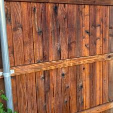 Fence-Cleaning-in-Plano-TX 1